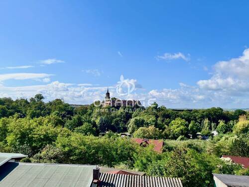 Rundblick vom Grundstück - Grundstück in Seeburg