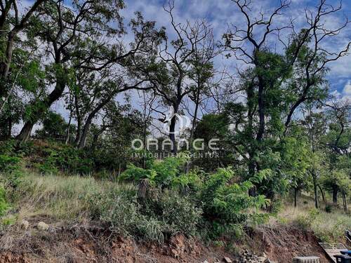 Oberes Grundstück - 