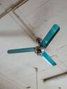 Flur - 