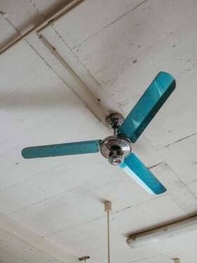 Flur - 