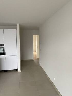 Eingang Wohnzimmer - 