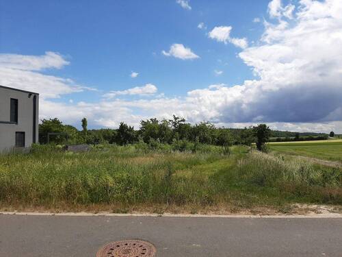Bild 5 - 