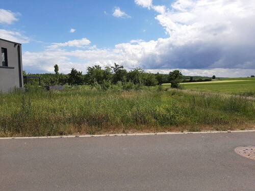 Bild 7 - 