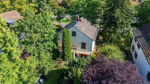 Drohnenaufnahme Altbestand - 