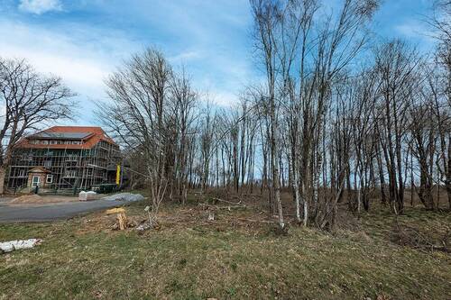 Bodenansicht - Grundstück zum Kaufen in Oberharz am Brocken