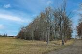 Blick auf Bäume - Grundstück in Oberharz am Brocken