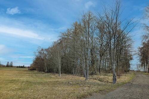 Blick auf Bäume - Grundstück in Oberharz am Brocken