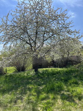 Bild 1 - Traumlage in Bad Griesbach - 160.000,00&nbsp;EUR Kaufpreis, ca.&nbsp; 0,00&nbsp;m&sup2;