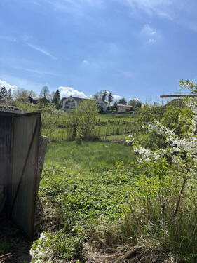 Bild 3 - Grundstück in Bad Griesbach