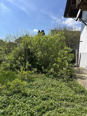 Bild 4 - Grundstück in Bad Griesbach zum Kaufen