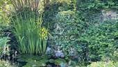 Garten - 