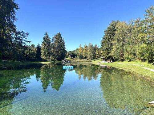 Umgebungsaufnahme im Sommer - 