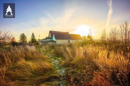 Blick vom Garten zum Haus - 4 Zimmer Doppelhaushälfte zum Kaufen in Seeland