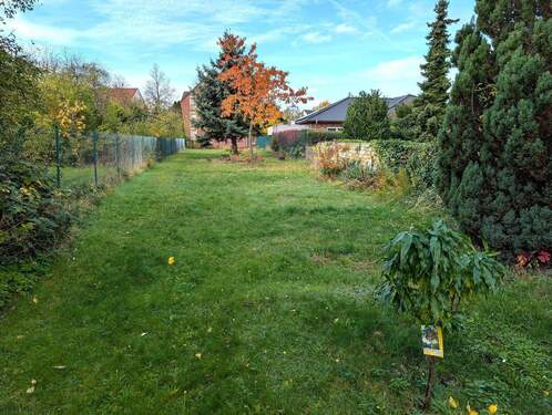 Grünfläche hinter dem Haus - Einfamilienhaus mit 95,20 m&sup2; in Sandersdorf zum Kaufen