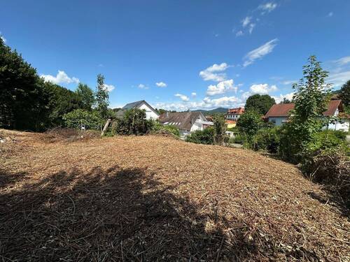 Aussicht III.jpg - Grundstück in Friesenheim zum Kaufen