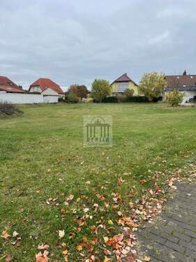 IMG_3228 - Grundstück in Dahme/Mark