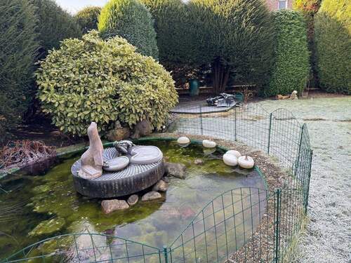 Gartenteich im Winter - 