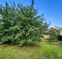 Der Anfang ist gemacht ! - 115.000,00&nbsp;EUR Kaufpreis, ca.&nbsp; 110,00&nbsp;m&sup2;&nbsp;Wohnfl&auml;che in Muldestausee (PLZ: 06774) Gröbern