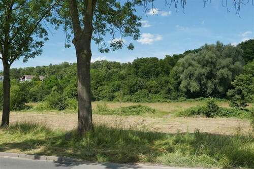 Jungfernwiese - Kassel-Jungfernkopf – Gartenwohnung in zentraler und ruhiger Lage
