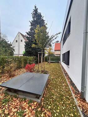 Herbstliche Eindrücke - 