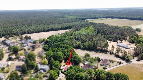 Blick in Richtung Waldgebiet - 5 Zimmer Bungalow in Fuhlendorf