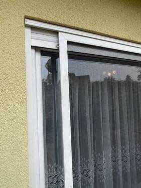 Insektenschutz und Rollläden - 