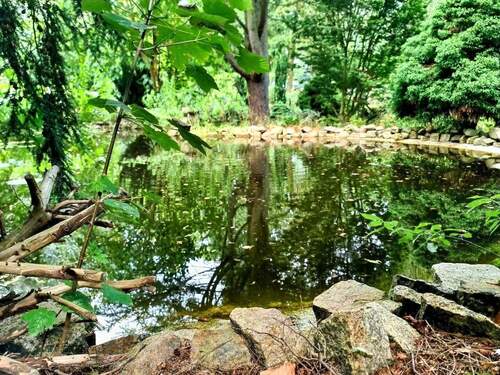 Fischteich - Ehemaliger Schaugarten einer Baumschule möchte wiederbelebt werden!