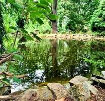 Ehemaliger Schaugarten einer Baumschule möchte wiederbelebt werden! - Döbern