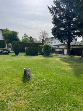 Garten.jpg - Grundstück in Potsdam zum Kaufen