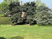 Garten.jpg - 