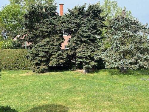 Garten.jpg - 