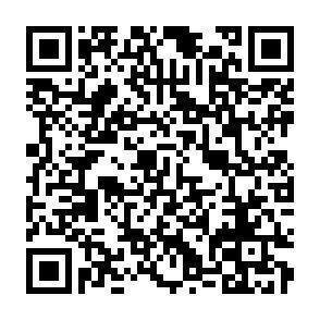 QR-Code - 