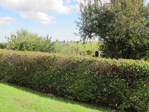 Grundstück mit Fernblick - Parken vor der Türe ... - 