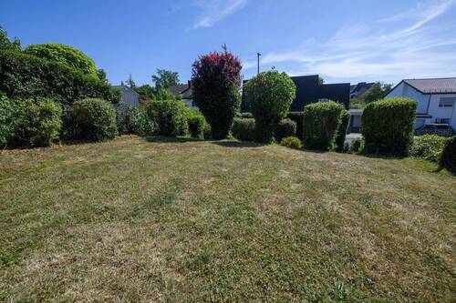 Blick vom Haus zum Garten - 