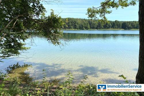 Blick auf den See vom Ufer - 