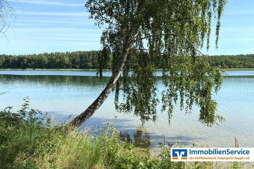 Blick auf den See - 