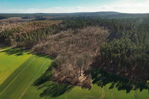 Luftaufnahme Gesamtareal - 12,1 ha Forstliegenschaft mit Kiefer, Eiche und Rotbuche bei Gardelegen