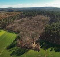 12,1 ha Forstliegenschaft mit Kiefer, Eiche und Rotbuche bei Gardelegen