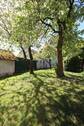 Schöner Garten mit Baumbestand - 5 Zimmer Einfamilienhaus zum Kaufen in Berching / Thann