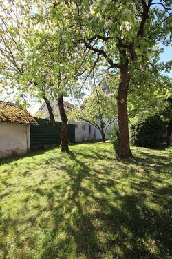 Schöner Garten mit Baumbestand - 5 Zimmer Einfamilienhaus zum Kaufen in Berching / Thann