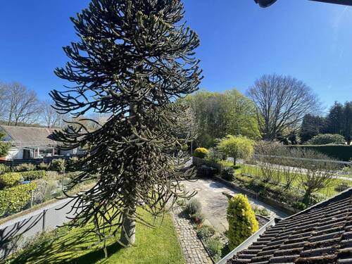 Ausblick - 