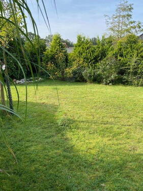 Bild 12 - 