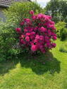 Bild 13 - 