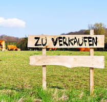 Alt-Garbsen, Baugrundstück für EFHDHH Am Kreuzstein