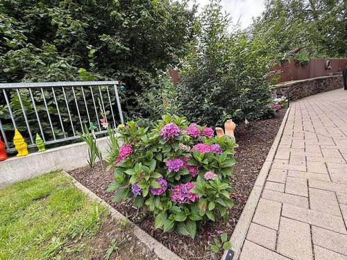 Garten - 