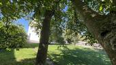 Ambiente - 