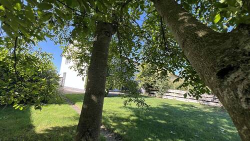 Ambiente - 