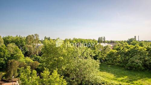 Ausblick - 