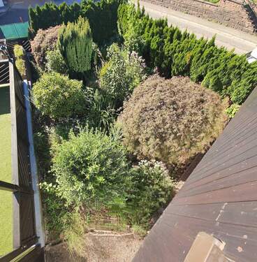 Garten - 