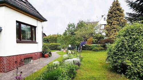 Blick auf denn vorderen Garten - 